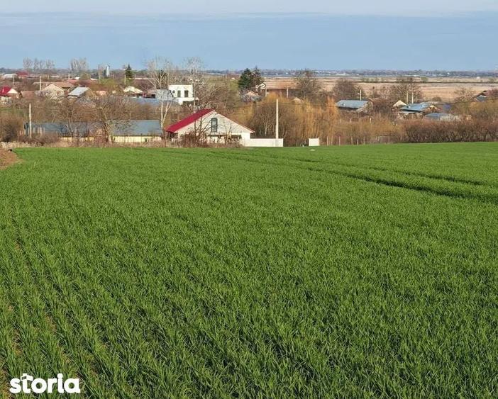 Vand loturi de 527 si 635 mp langa Delta Neajlovului la cel mai bun pr - 2