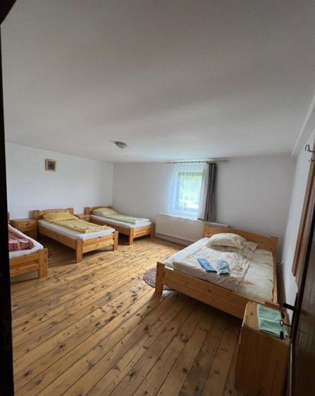 Cabana de 210mp, 2600 mp teren, in Rachitele - 14