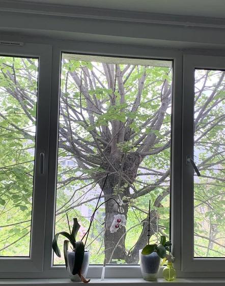 Apartament 3 camere, cu boxa, Campia Libertatii - Baba Novac,IOR, investitie - 9