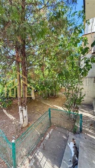 3 CAMERE TEI / MAICA DOMNULUI - BLOC 1992 - 71MP - PRETUL CEL MAI BUN DIN ZONA - 15