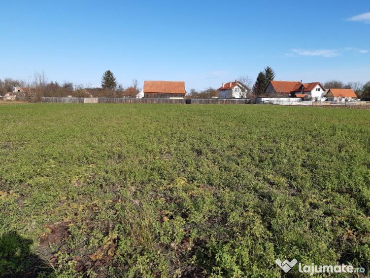 Teren intravilan central utilitati construibil Lunca Calnicului 2325mp. - 7