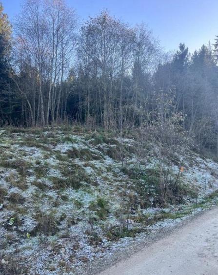 Teren intravilan, 20000 mp, zona Manastirea Humorului - 5