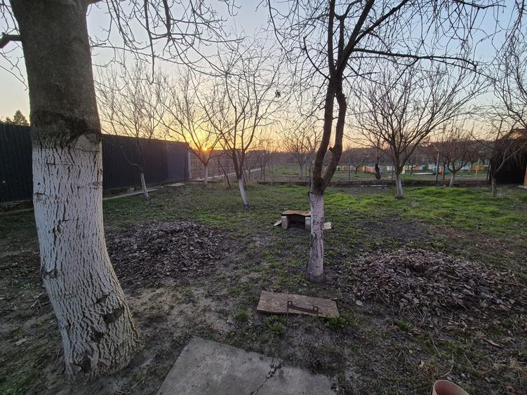 Casă la sol utilata, Micălaca, teren 765 mp, front 27 m, 0% comision - 11