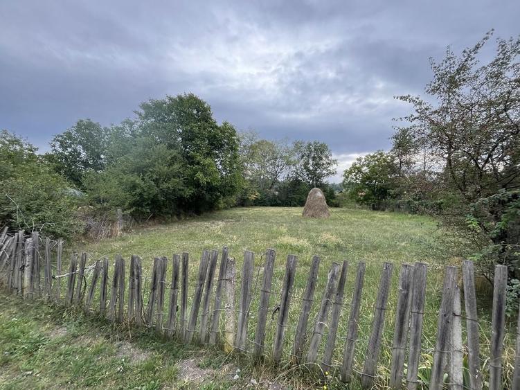 Teren intravilan 2.500 mp Buciumeni, Dambovita - 2