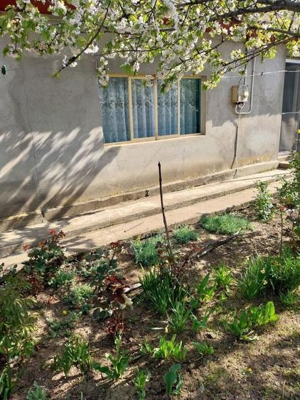 Vand casa ( teren 2.000 mp) in sat Pietrele, jud. Giurgiu - 1