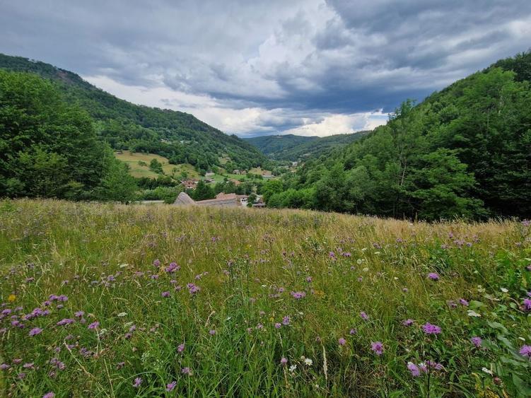 Ocazie! Teren intravilan Bulz-Munteni - 1