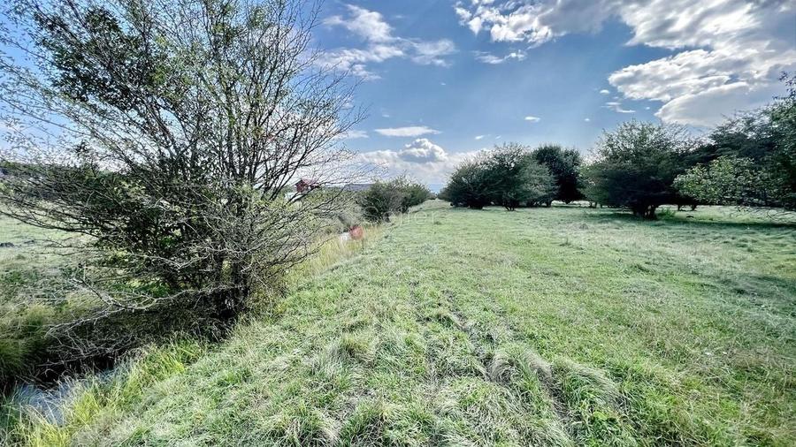 Teren Extravilan - 4