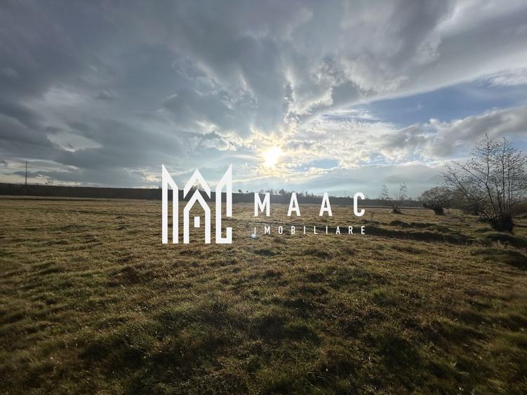 Teren cu potențial turistic I Cârțișoara I 3000 MP - 2