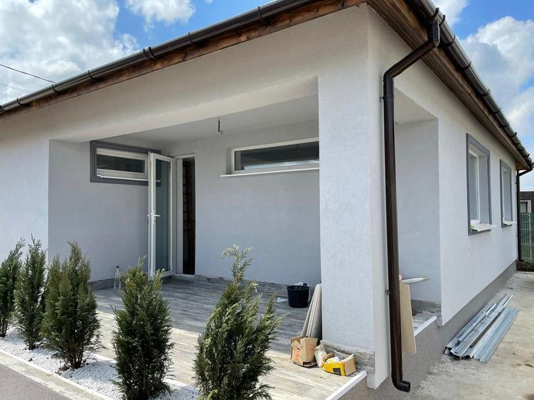 Vidra-Cretesti-Casa individuala - 2