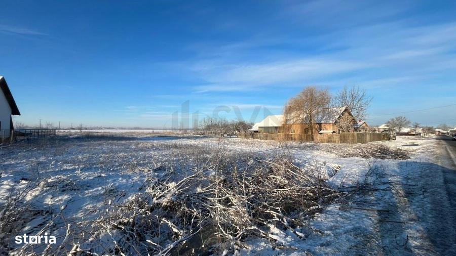 Teren extravilan padure 6000 euro vizavi Insula Crabilor - 5