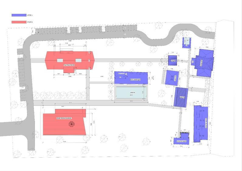 Gaminvest Crama Resort cu Proiect Aprobat in Conac Istoric din Sec XIX Arad - 6