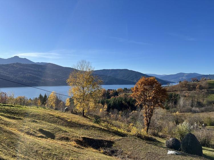 Cabana nordica in Buhalnita Hangu Lac Bicaz investitie - 4