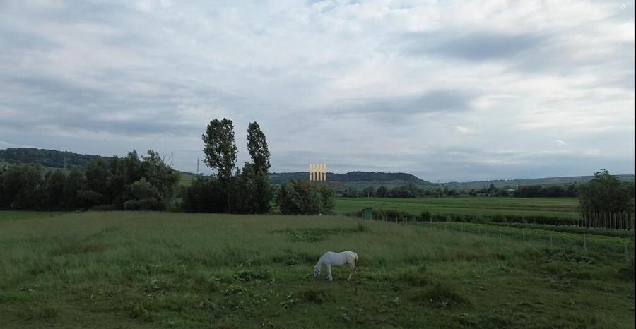 Teren 3953 mp Falticeni Tarna Mare De 0727817187 - 8