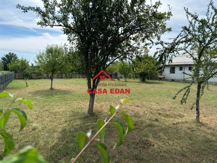 ●Teren in Campina--920mp--28.000e● - 3