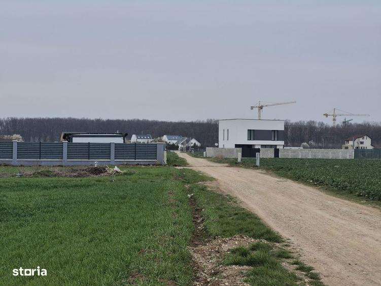 Lot Balotesti,electricitate,gaz,canalizare,apa curenta la teren - 3