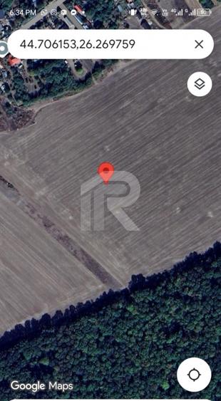 Com GRUIU_Reprezentare exclusiva_TEREN  EXTRAVILAN LANGA PADURE - 4