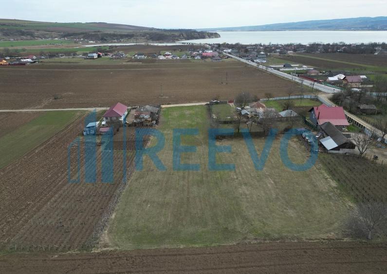 Teren de vanzare, Sat Bazga, Com. Horge?ti, Bacau - 4