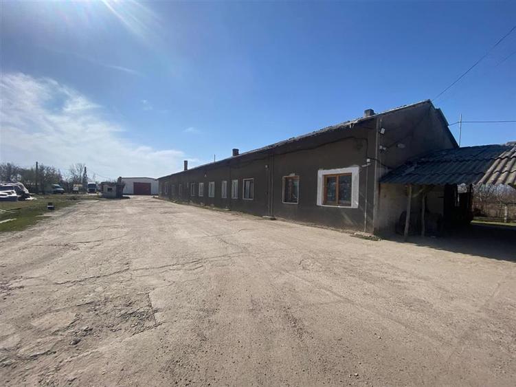 RECO hale cu teren generos Salonta - 7