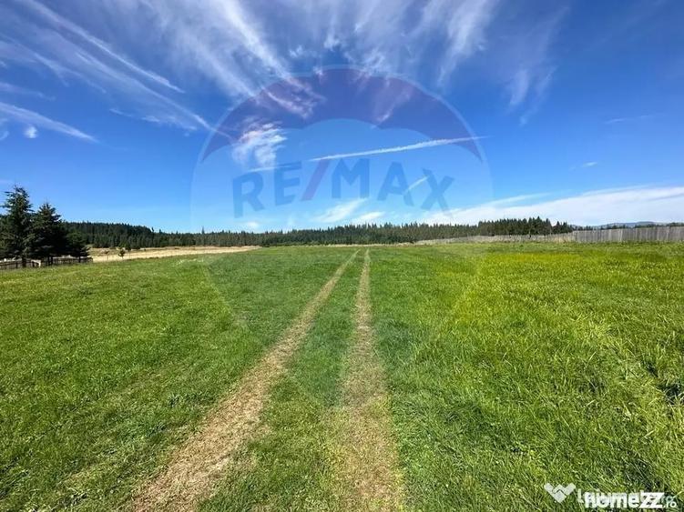 Teren de 30930 mp, în Poiana Stampei