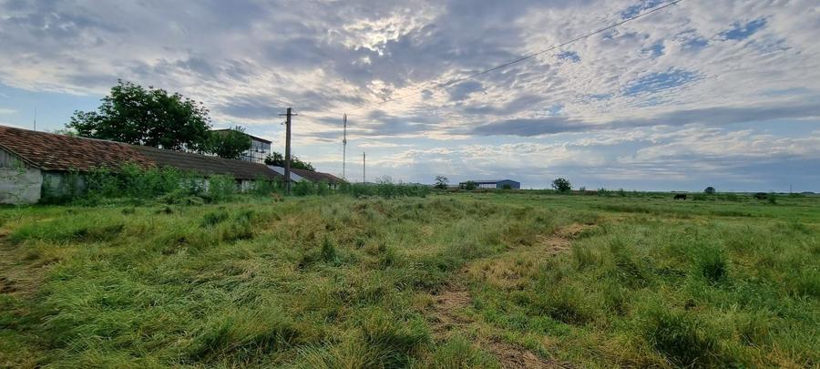 Teren Construcții intravilan de 10000 mp, în Nord-Est