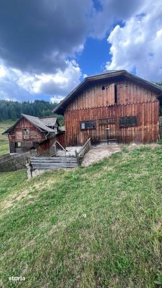 Teren de 36000 mp, în Bosanci