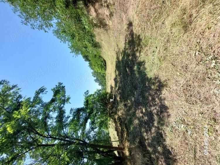 Teren de 1500 mp, în Marginea