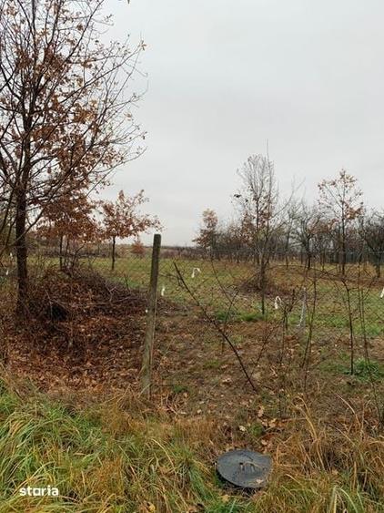 Teren intravilan Ville Satu Mare - 5