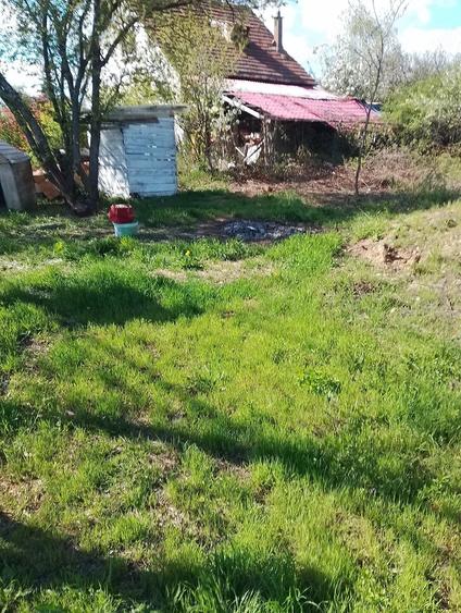 Vand un teren extratabular pe dealul Viilor in Oradea - 6