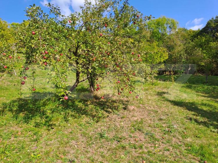 Casă cu 2 camere cu Teren 10000 Mp în Almașu Mare