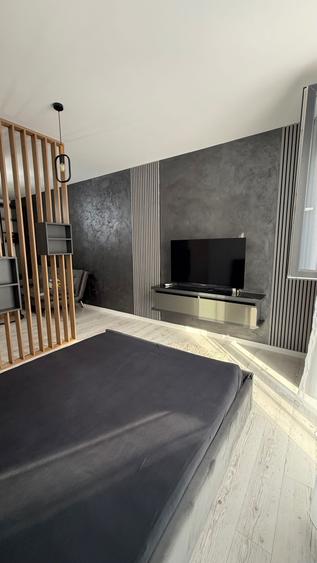 Proprietar inchiriez apartament 1 camera Torontalului - 14