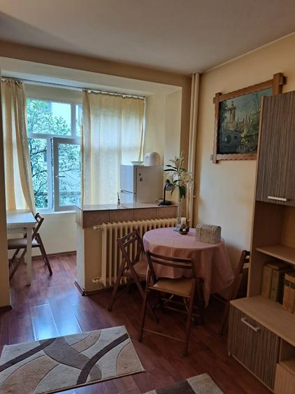 Garsonieră de închiriat – B-dul Take Ionescu – Etaj 1/10, mobilată și utilată - 5