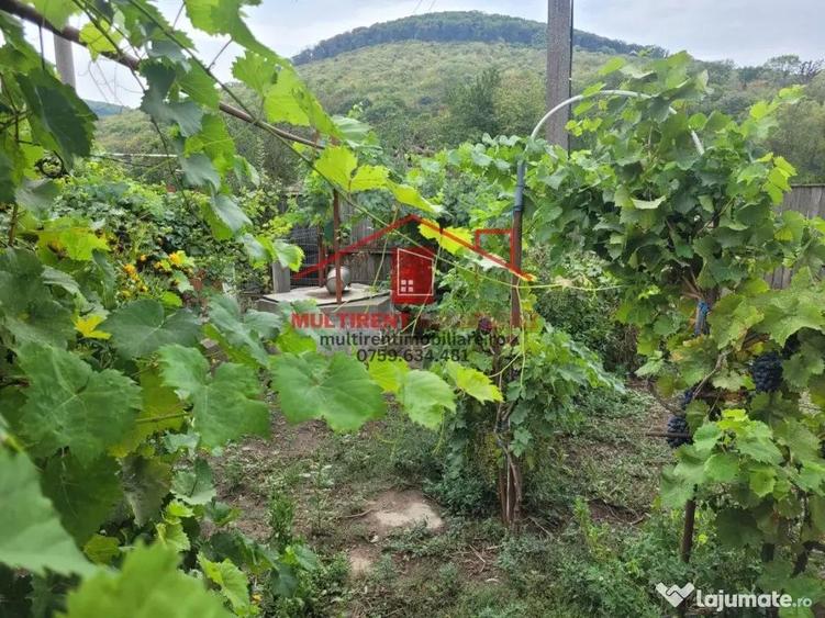 Casa in Telita cu vedere spre padure! - 2