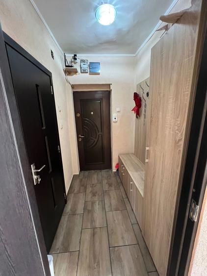 Apartament cu 1 camera de inchiriat Zona Fortuna, Arad - 3