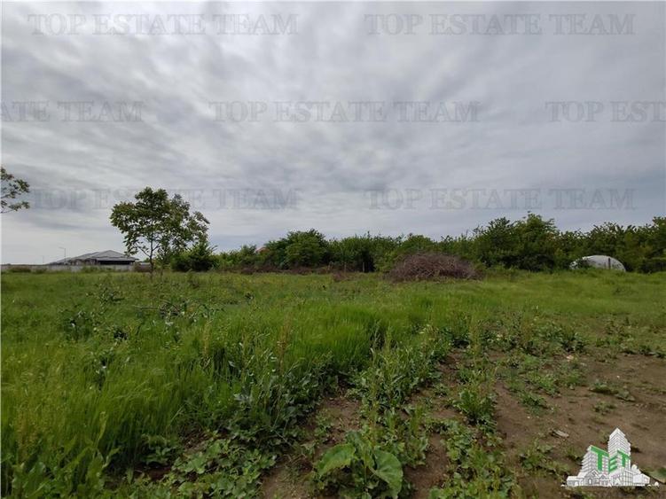 Teren Balotesti - Central - 2