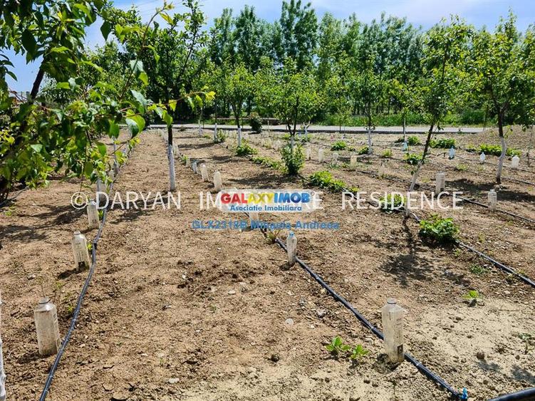 Teren in Poienari Apostoli, 21 E mp, Avantajos, DN1, 34.500 euro - 5