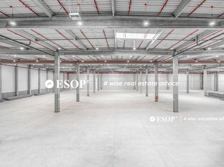 WDP Industrial Park Timisoara, spatii industrale, 2.500 - 25.000mp - 5