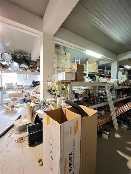 MIRCEA CEL BATRAN - CASA INDIVIDUALA + TEREN GENEROS - SAD - INVESTITIE UNICA - 13