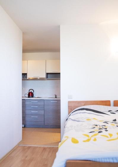 Se inchiriaza apartament in zona 13 Decembrie - 5