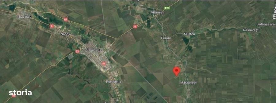 Teren de 5000 mp, în Sud