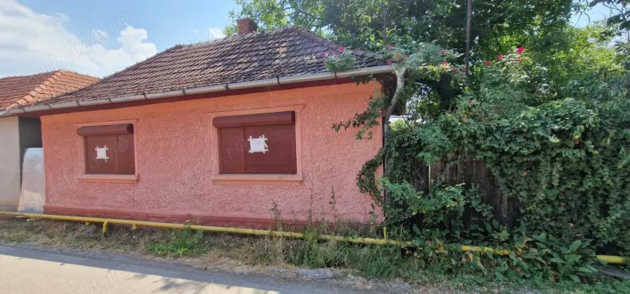 Doua case + anexe + gradina + gaz - 1