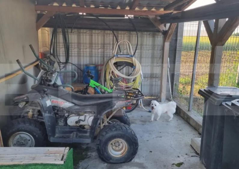 Casa moderna de vanzare in Vetis, 120 mp - 2