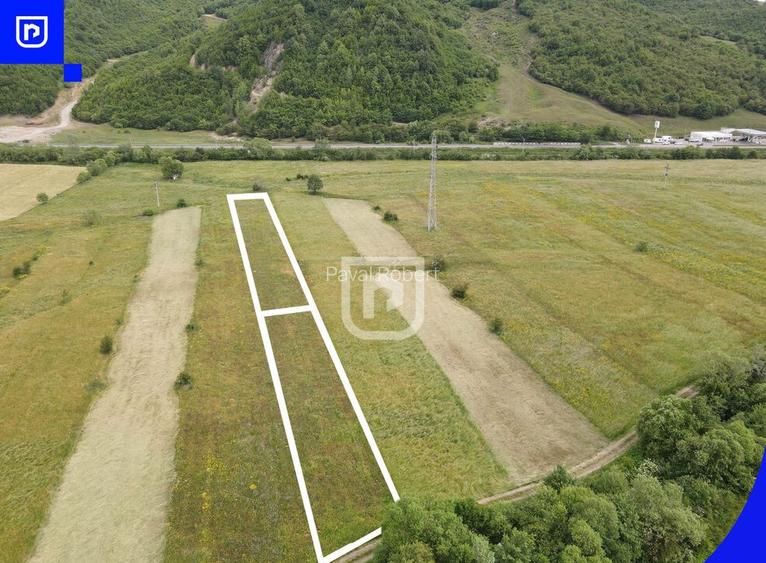 Teren Vorone? | Gura Humorului | Suceava - Bucovina - 28...