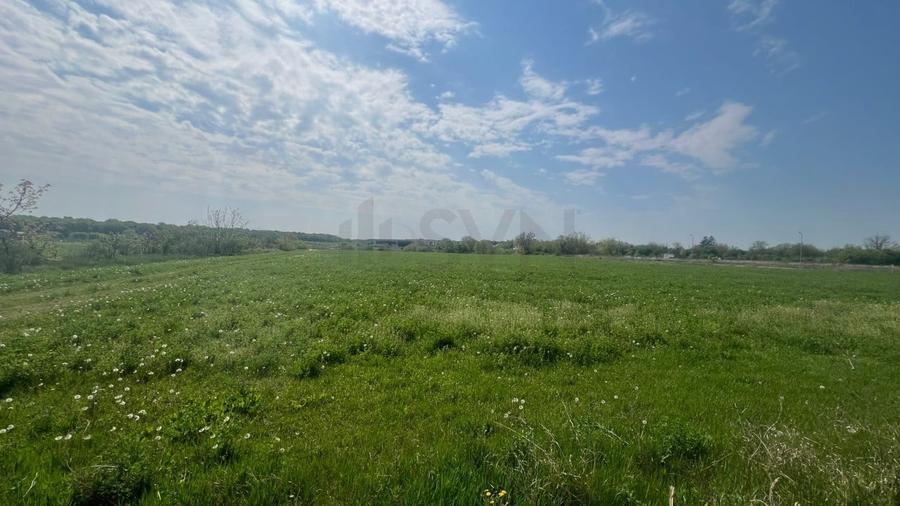 REL4000945 Teren de vanzare in Snagov - 1