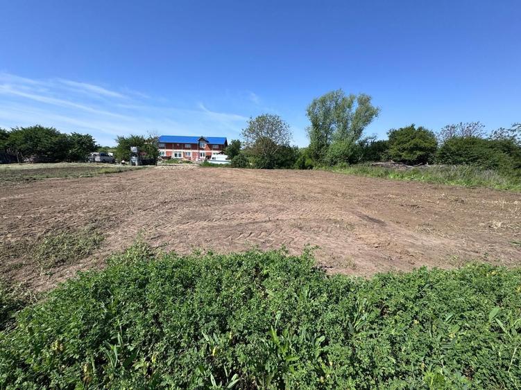 Vand teren intravilan in Sanmartin - 1