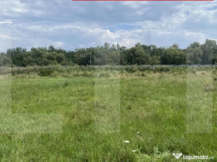 Teren intravilan 1.000 mp cu PUZ aprobat langa Sepsi A - 2