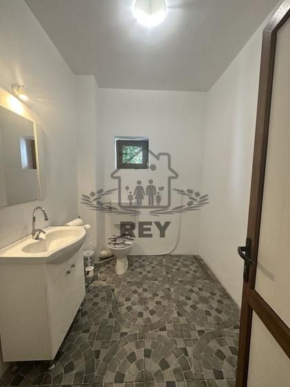 Spațiu birou/locuință– Bd. Victoriei- Parcul Sub Arini - 4