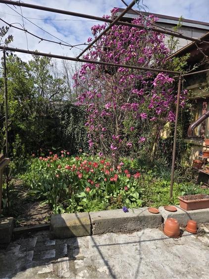 CASĂ DE VÂNZARE CU 4 CAMERE IN ZONA ȘOSEAUA CHITILEI SEC.1 VIZAVI DE MAAL  COLOS - 6
