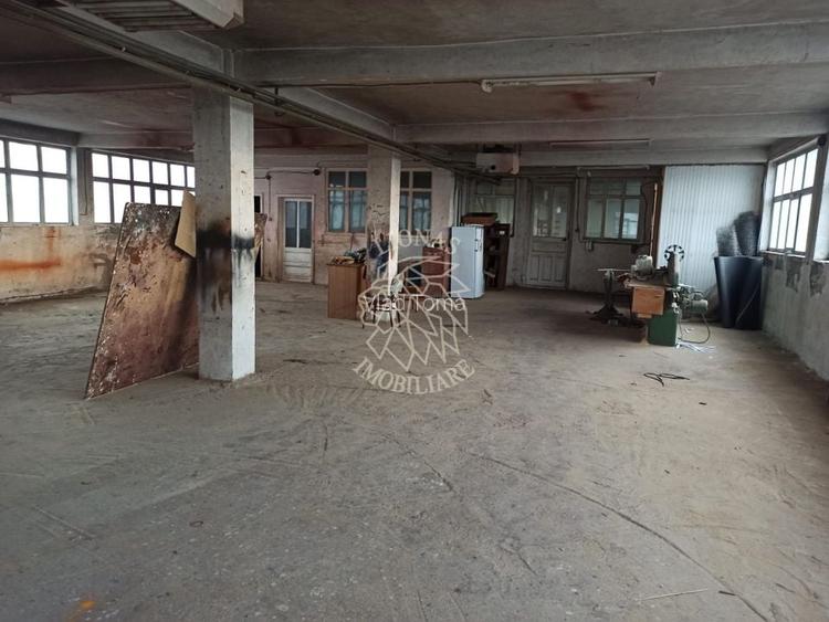 Complex de 4 hale 1705 mp-ideal prelucrare, service-Valea Ghinzii