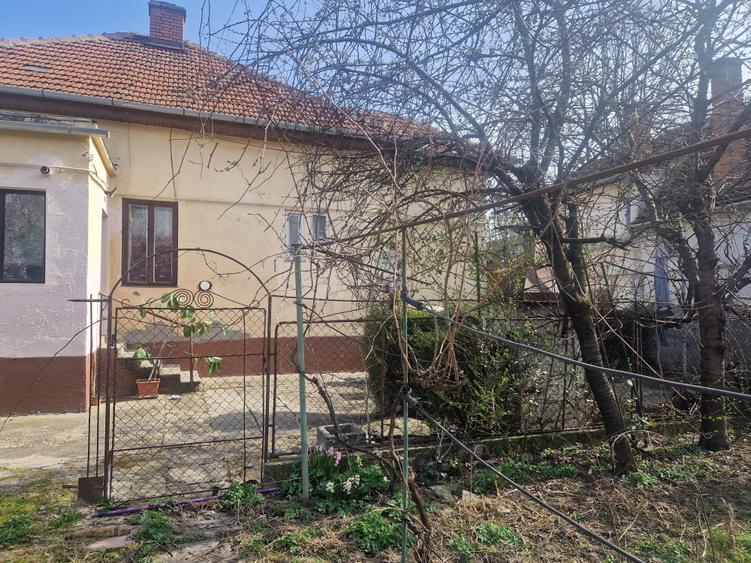 Situata pe frumoasa strada Maslinului in zona Blascovici, - 10