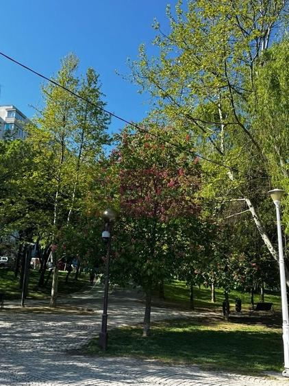 Apartament 3 camere, la parc IOR - 11